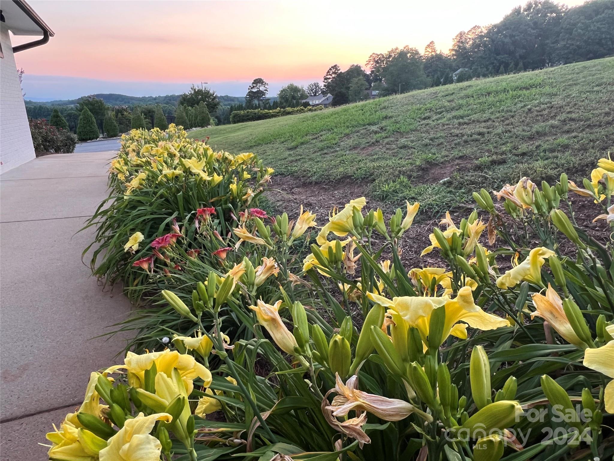 Moss Drive at Cleghorn - Land