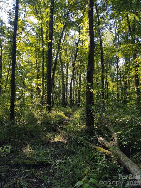 Photo of 000 Stratton Farm Road, Huntersville, NC 28078 (MLS # 4413826)