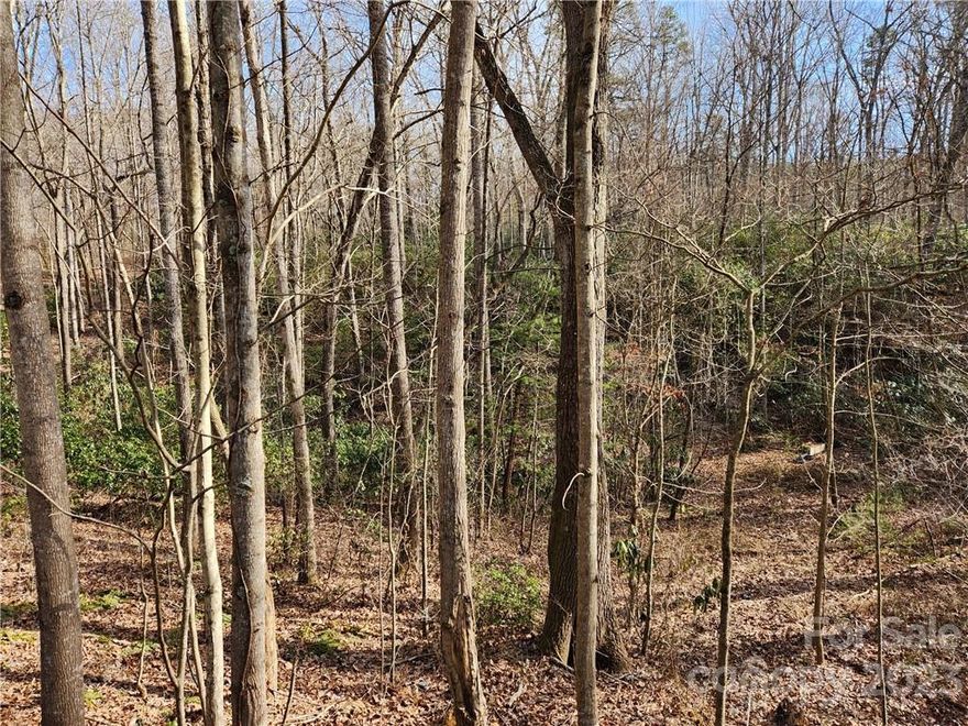 1.33 acre lot with a small creek down the middle in desirable Candler. Wooded and sloping, and full of wildlife. No restrictions found, but buyers should do due diligence on water availability and restrictions. Take Plats and Survey in attachments on your showing. Property is across from #139 Bennett Rd. This property was taken off the market for a short time until an updated survey was obtained. Property might be suitable for a couple of tiny homes or short term retnals. See attachment.