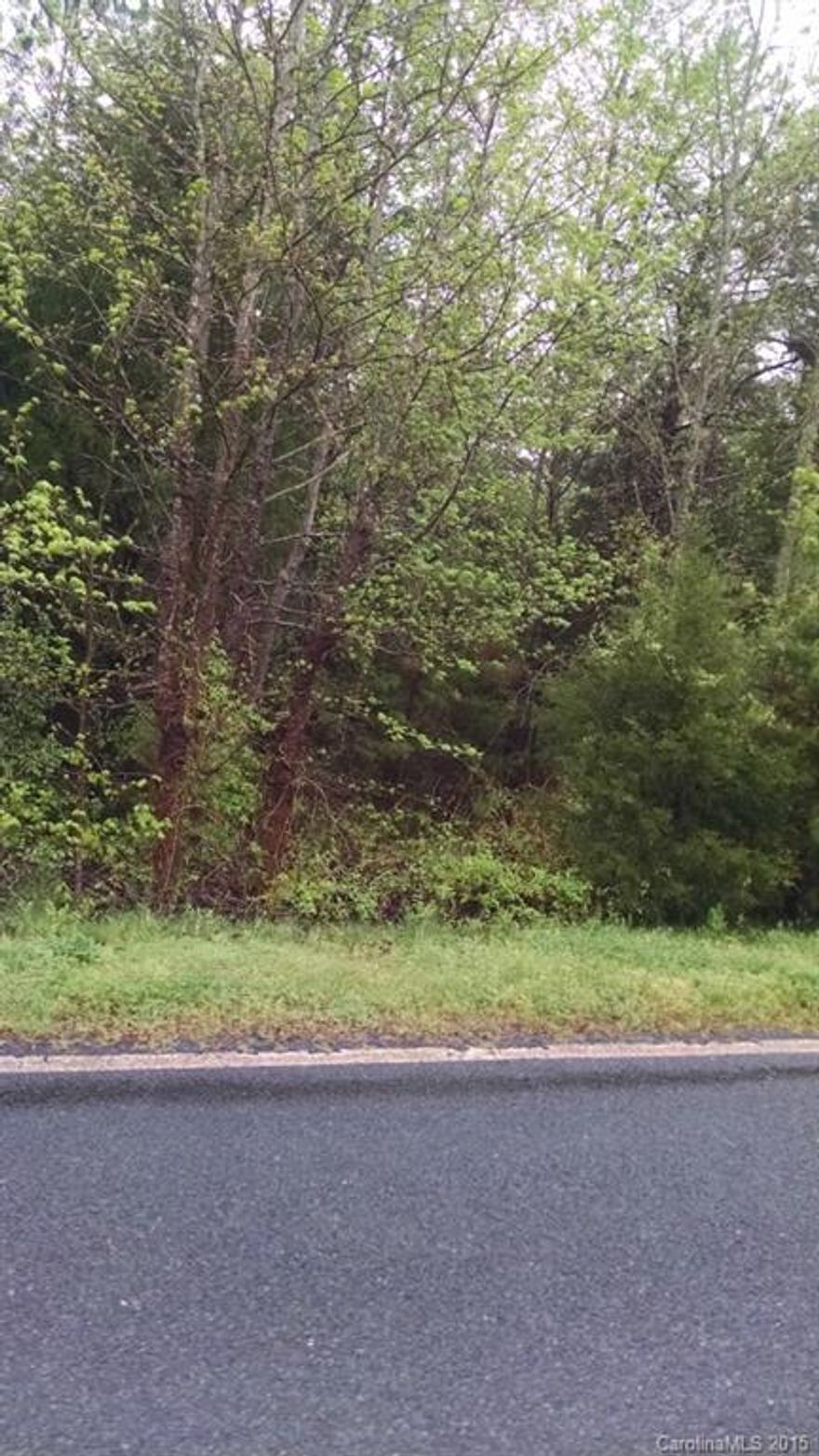 10.844  acres fully wooded land with road frontage


Price reduced!!!