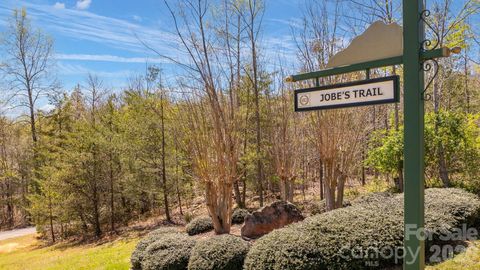 TBD Jobes Trail 29 Mill Spring NC 28756
