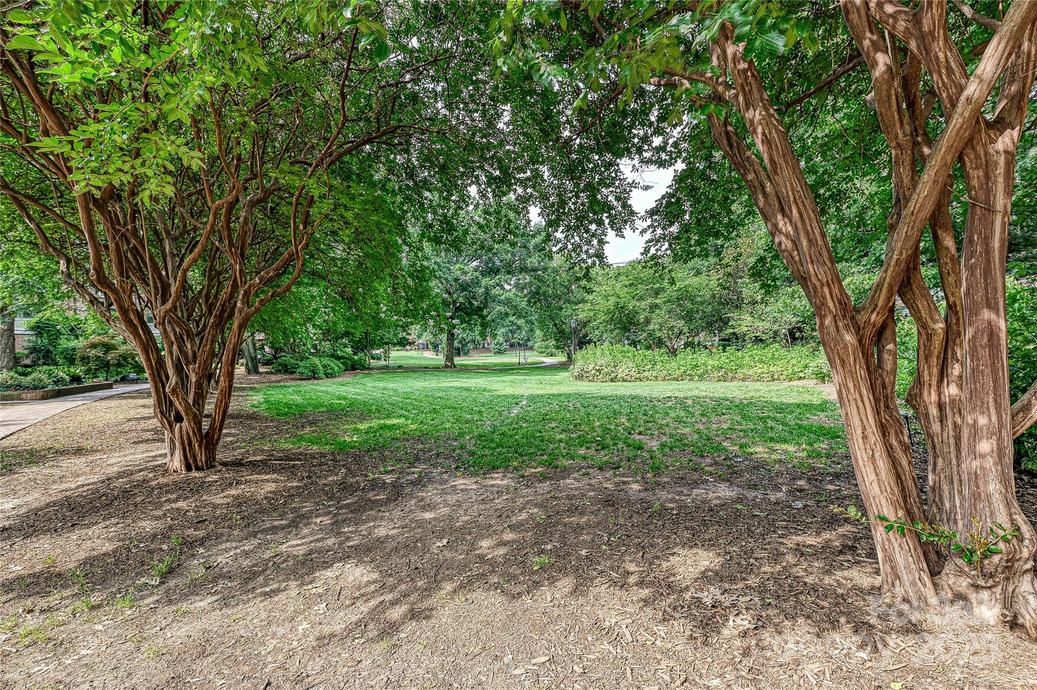 Springfield Square - Residential