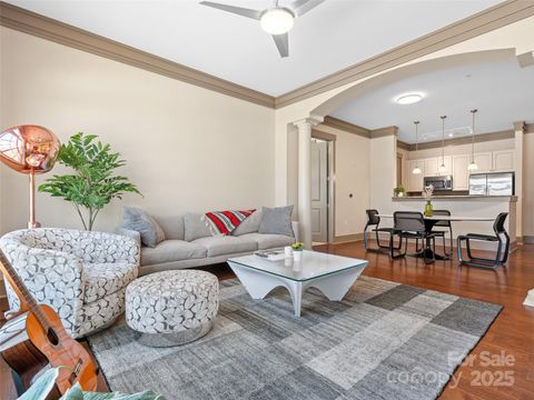 42 Schenck Parkway B09 Asheville NC 28803