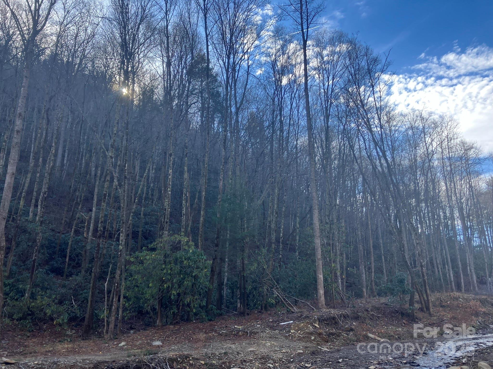 Wildflower Ridge - Land