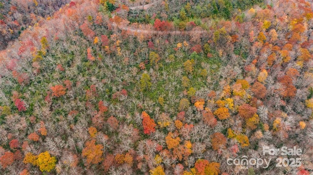 82 Davey Crockett Road