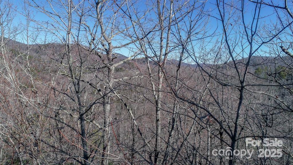 Wildflower Ridge - Land