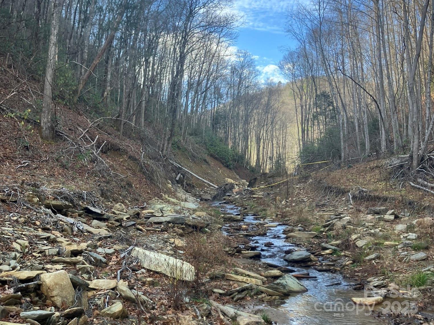 Wildflower Ridge - Land