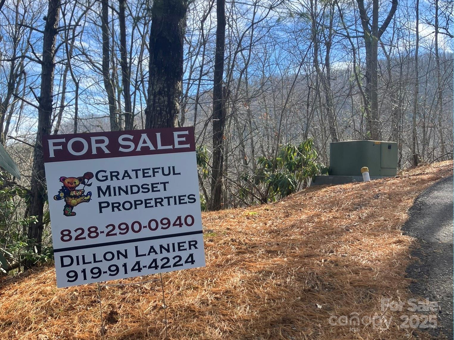 Wildflower Ridge - Land