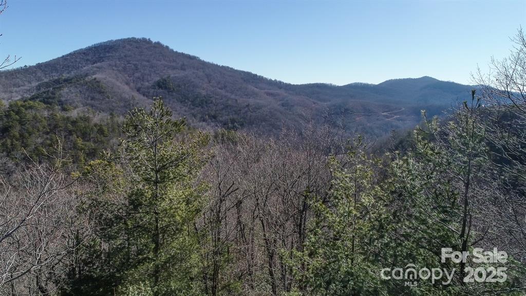 Wildflower Ridge - Land