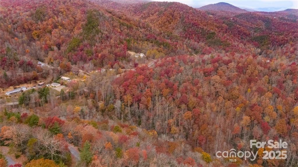 82 Davey Crockett Road