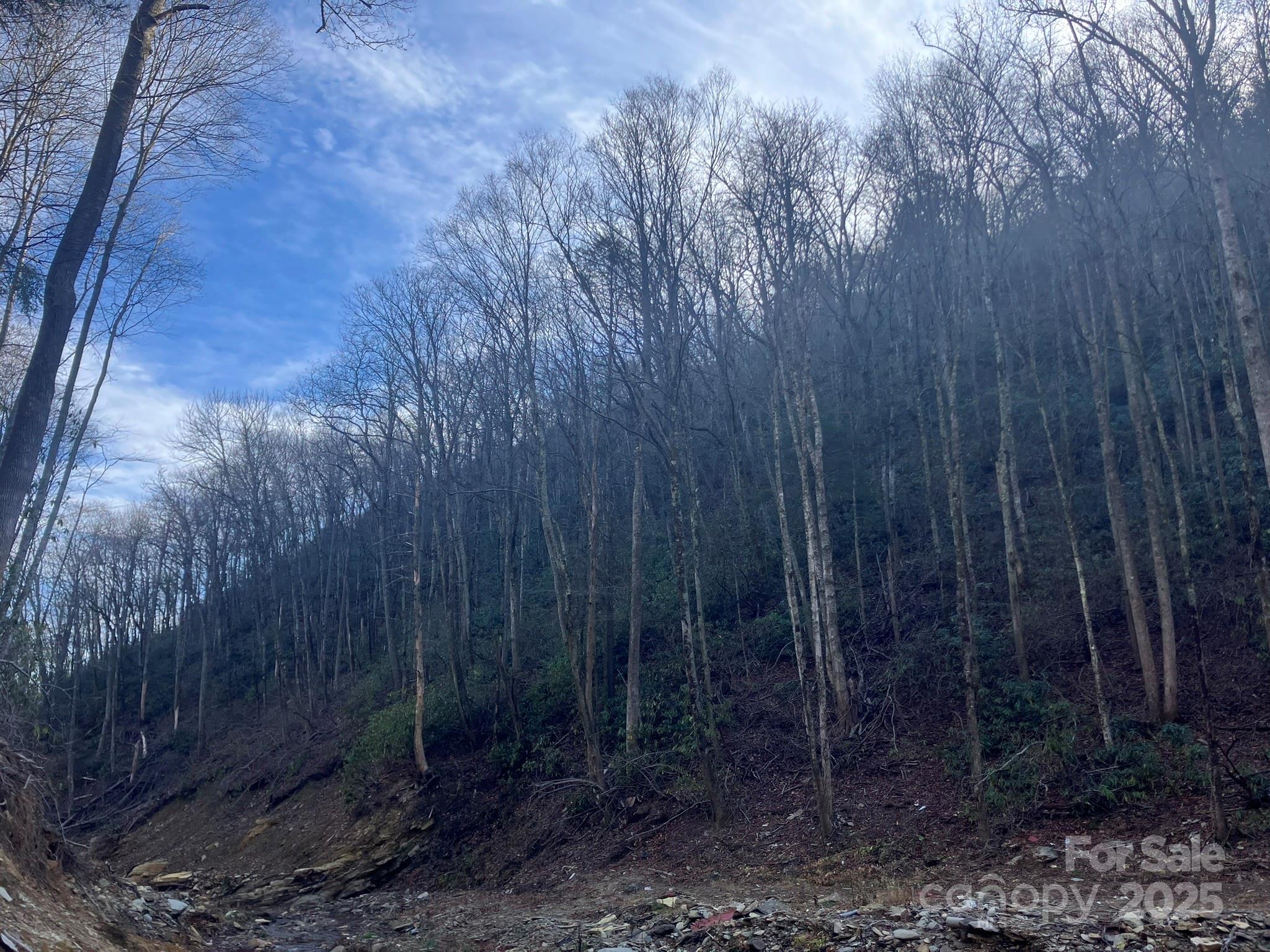 Wildflower Ridge - Land