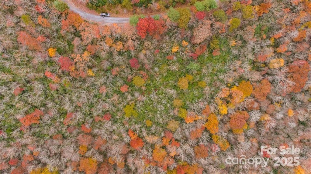 82 Davey Crockett Road