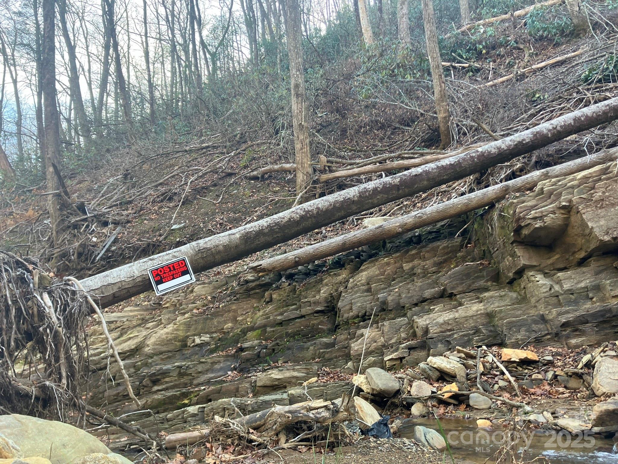 Wildflower Ridge - Land