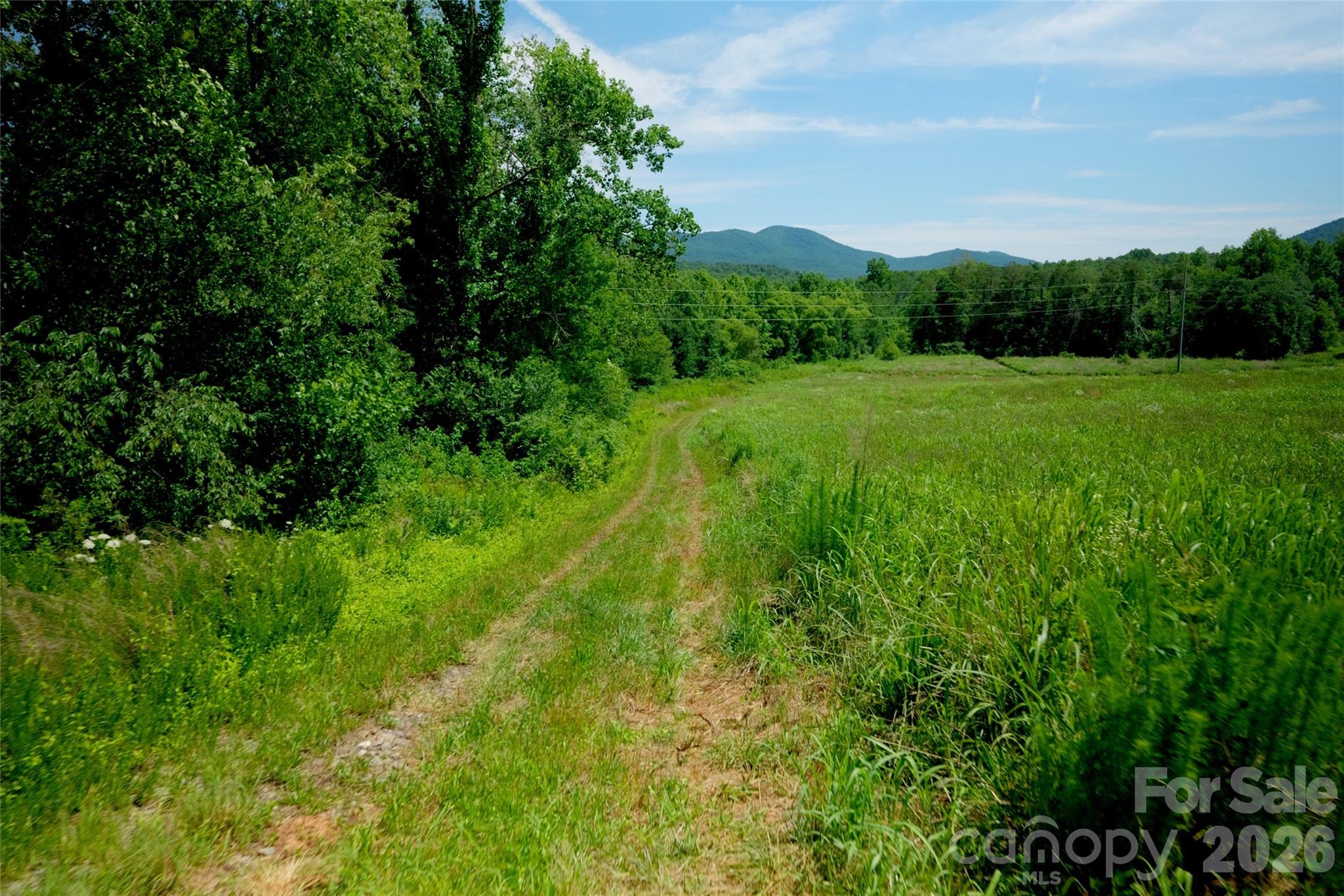 2 Morrison Road 2