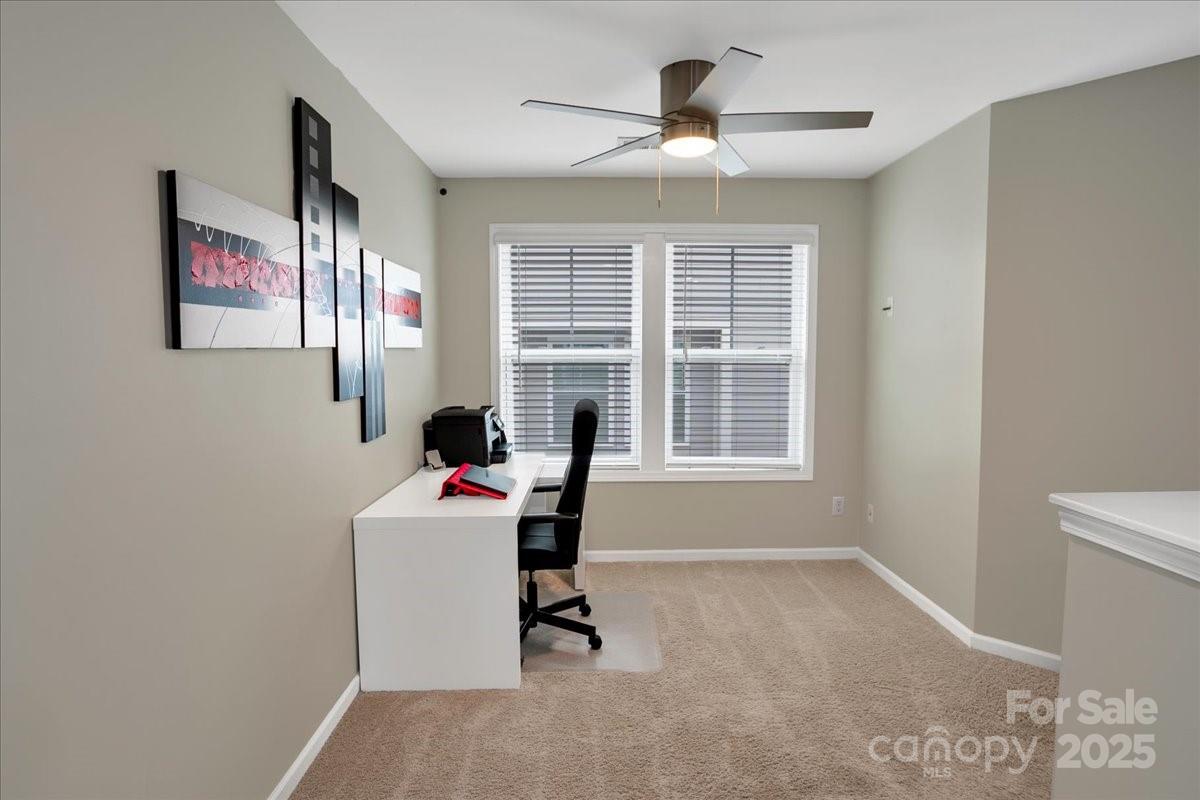 The Village At Ivy Ridge - Residential