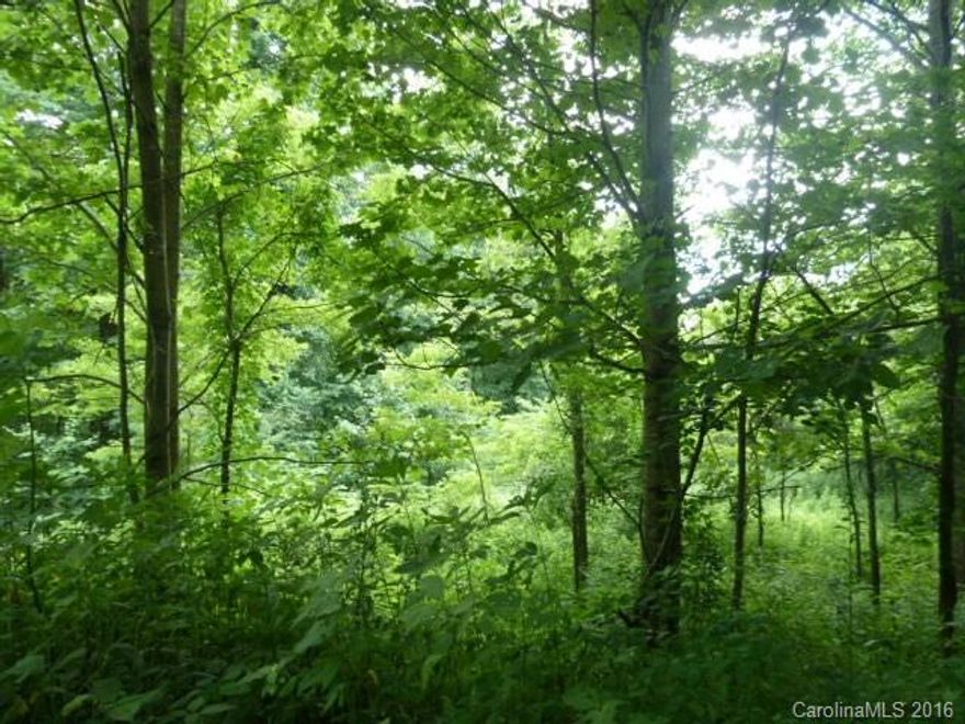 Paved state road to gravel road near top of the mountain.  Unrestricted 2.8 acres.   Mobile  and modular homes are allowed.    Portion of the lot is a protected ridge,  a portion in the steep slope /high elevation and a portion is level.  Beautiful drive and property.  LISTED BELOW TAX VALUE.  MOTIVATED SELLER.