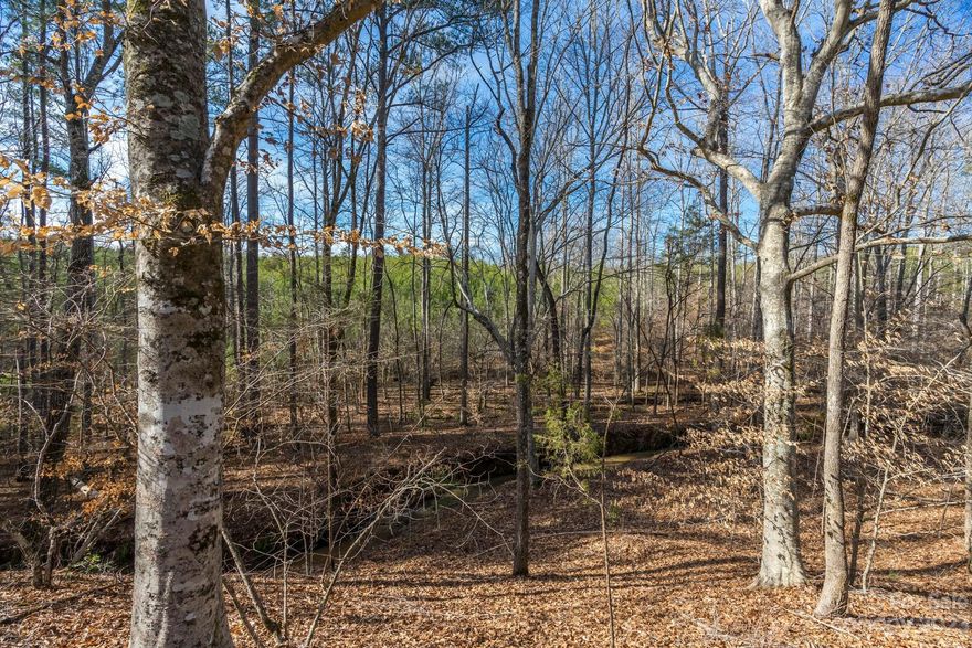 Welcome to this amazing opportunity in York County, conveniently located between Charlotte, Rock Hill, Chester, Kings Mountain, and Spartanburg / Gaffney! This property has it all!  Abundant wildlife, acres of hardwood bottom, large creek flowing through the back of the property, and loblolly pine production! This gem can be used for Hunting/Recreation, income potential, forestry use deferred taxes, and a personal residence!  There is electricity available. Quality soil for conventional septic system per soil engineer. Over 300' of road frontage.  If you are looking for a tranquil homestead tucked back in the woods, this is the piece of land for you!  Pursue building your dream home and embrace the country lifestyle.  This charming property is here for you to enjoy with family and friends. This sale is subject to a completed survey. ***More land available for sale*** Survey and soil mapping available upon request. Contact listing agent for more info.