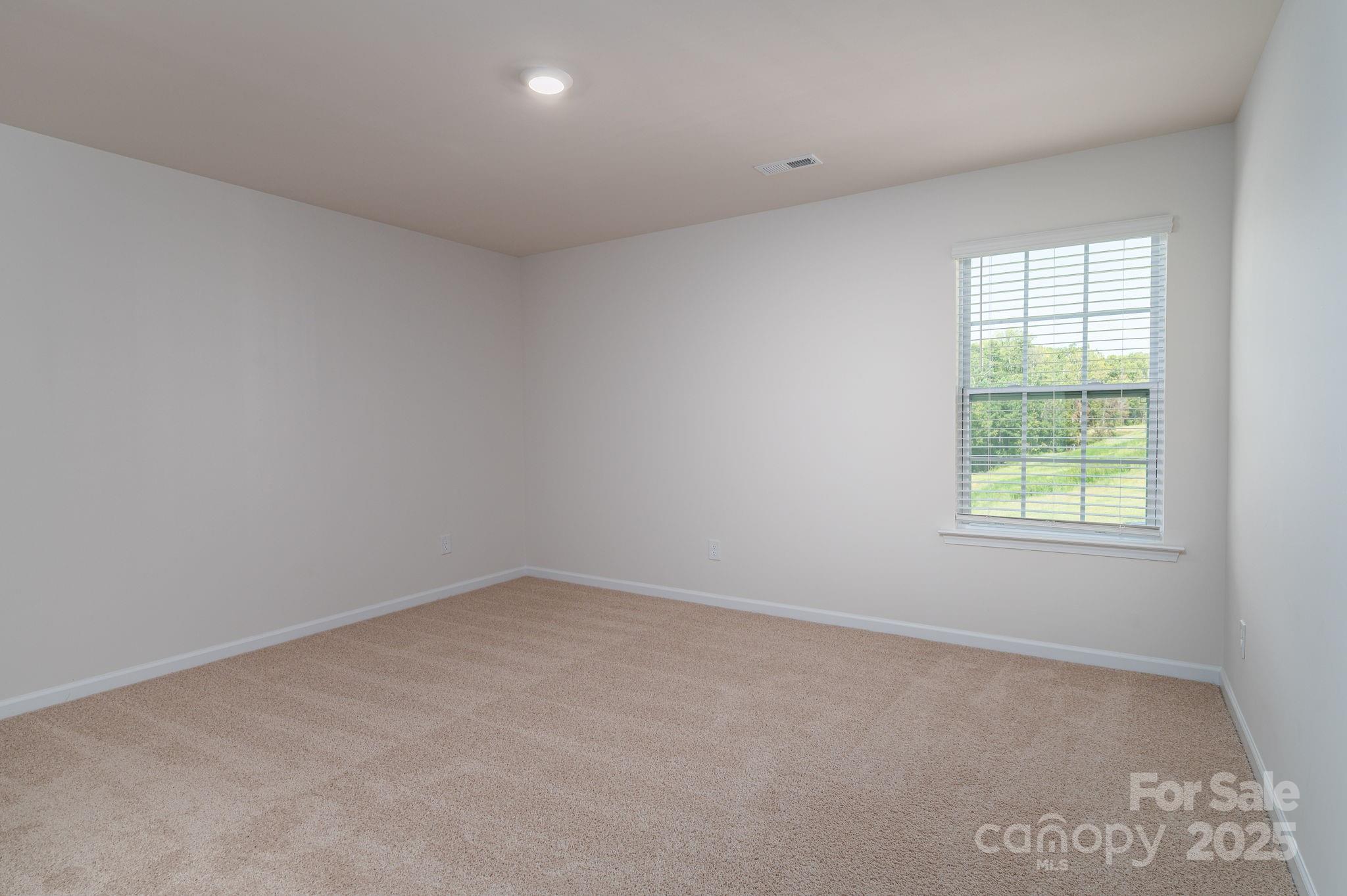 The Mills at Long Creek - Residential