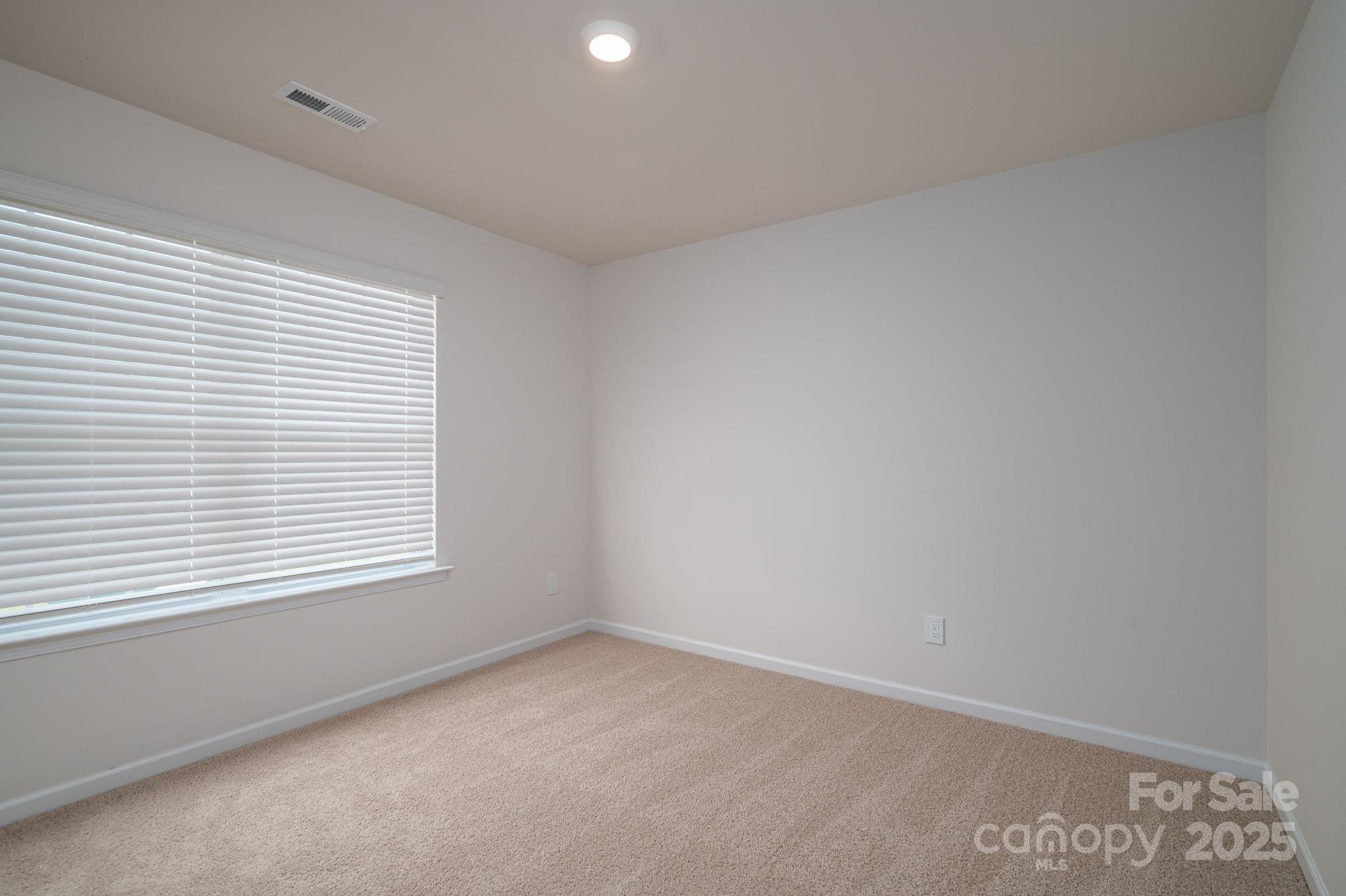 The Mills at Long Creek - Residential