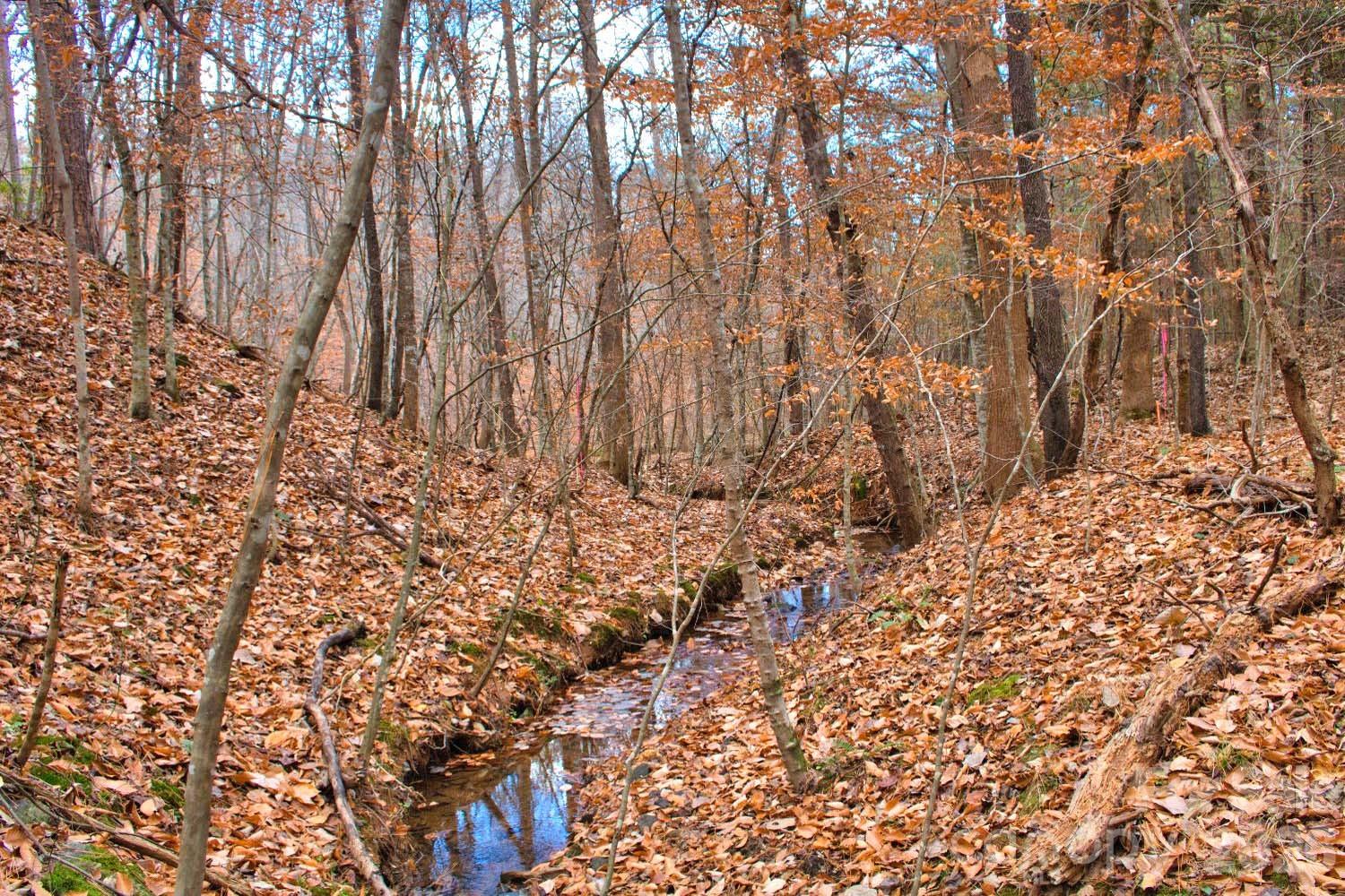 Clearwater Creek - Residential