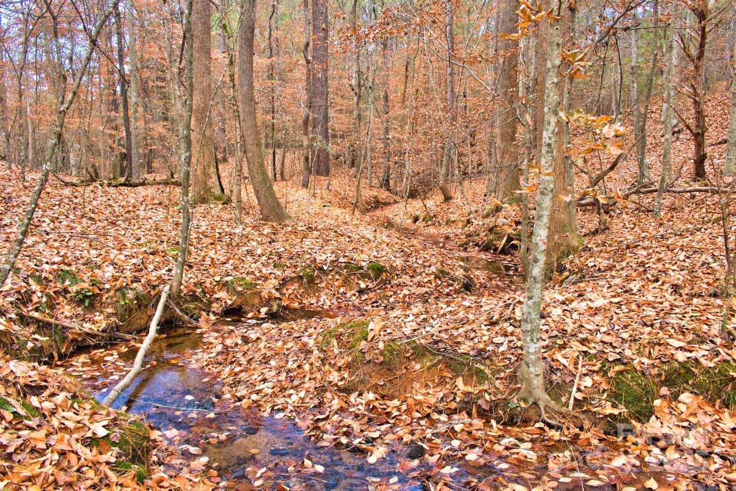 Clearwater Creek - Residential
