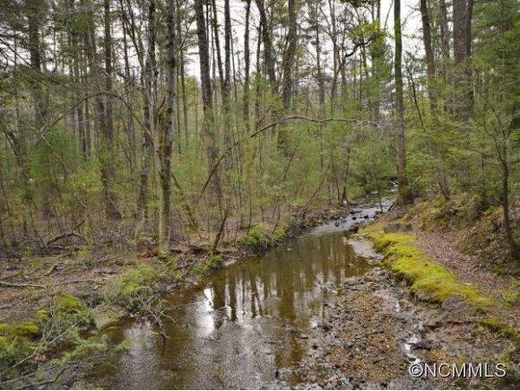 Biltmore Forest - Residential