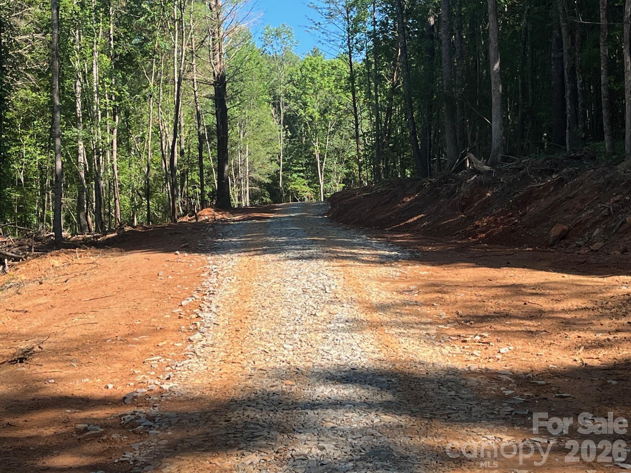 TBD Vein Mountain Road 20