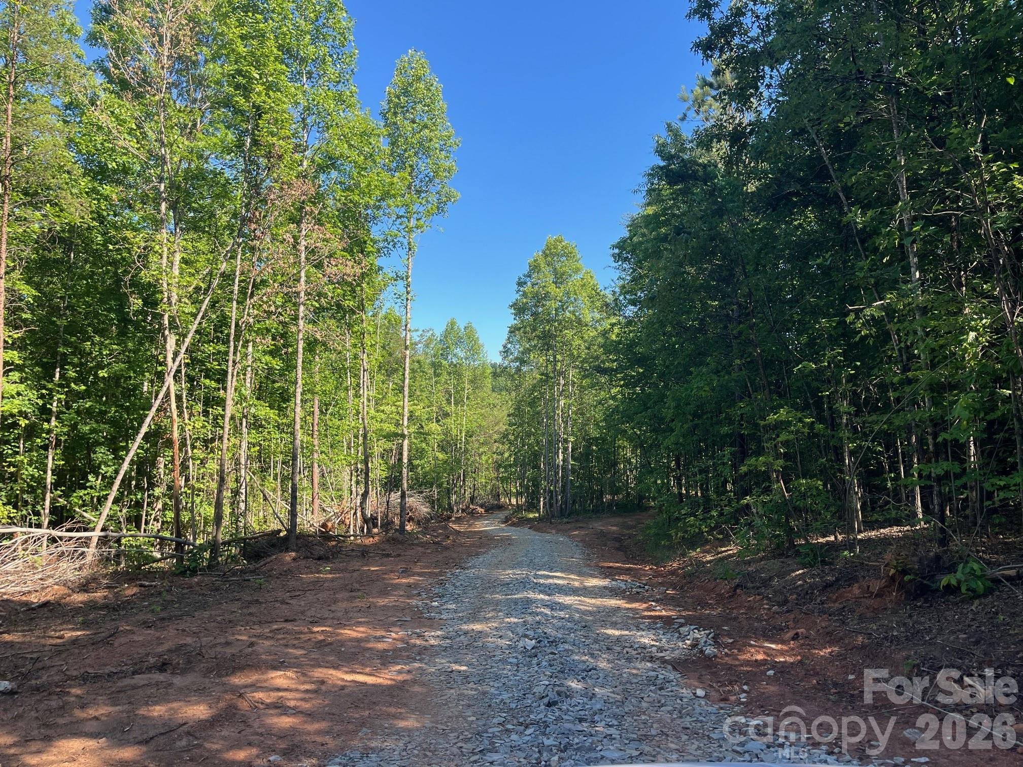 TBD Vein Mountain Road 20