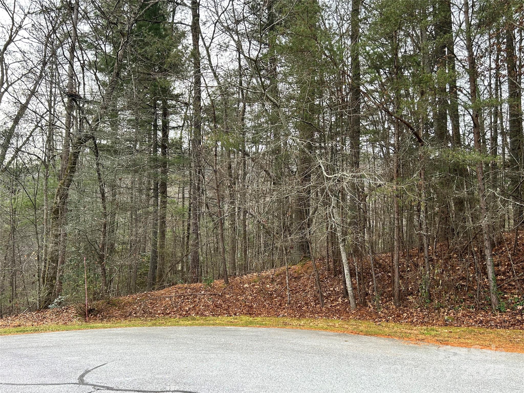 00 Cyprus Creek Lane 22