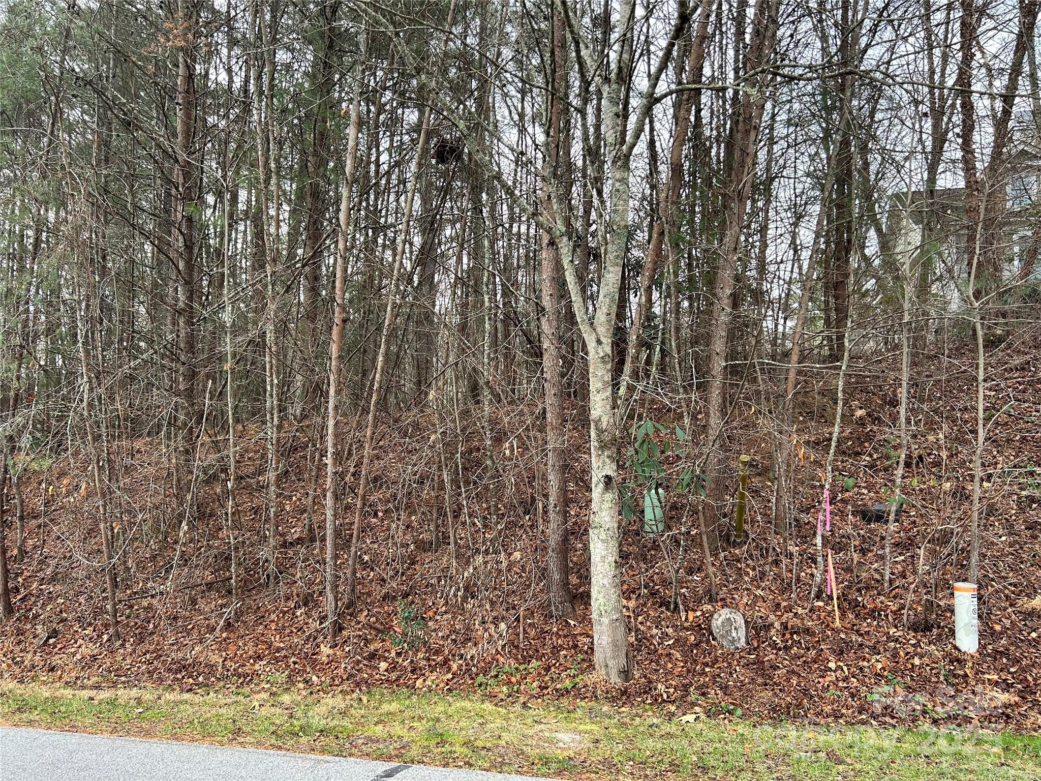 00 Cyprus Creek Lane 22