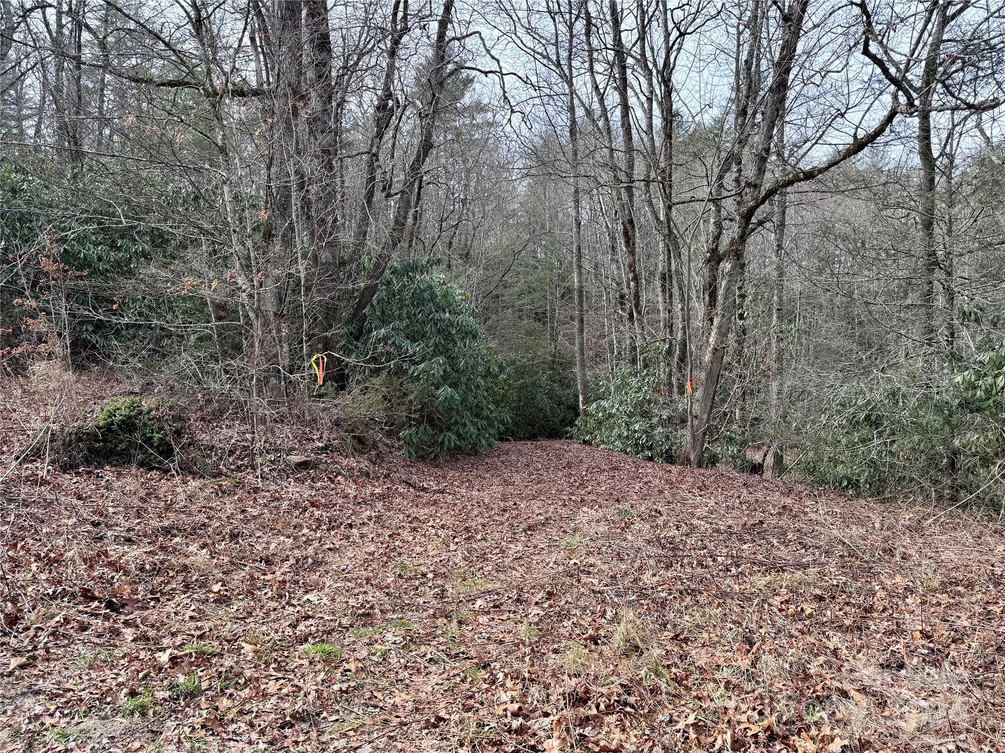 TBD Paul Mccoy Road