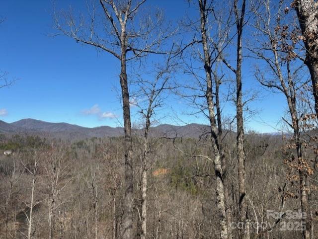 261 Holley Mountain Top Road