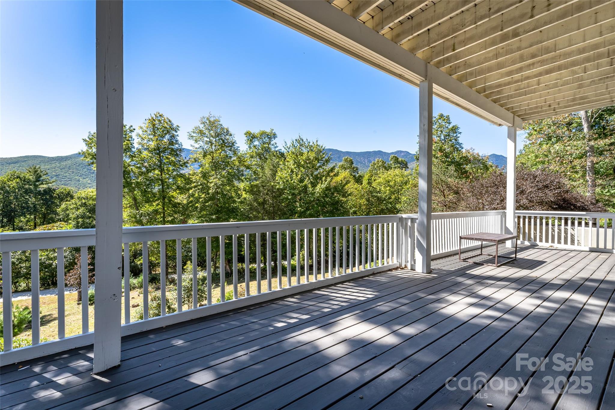 284 Mt. Mitchell Drive 2/1