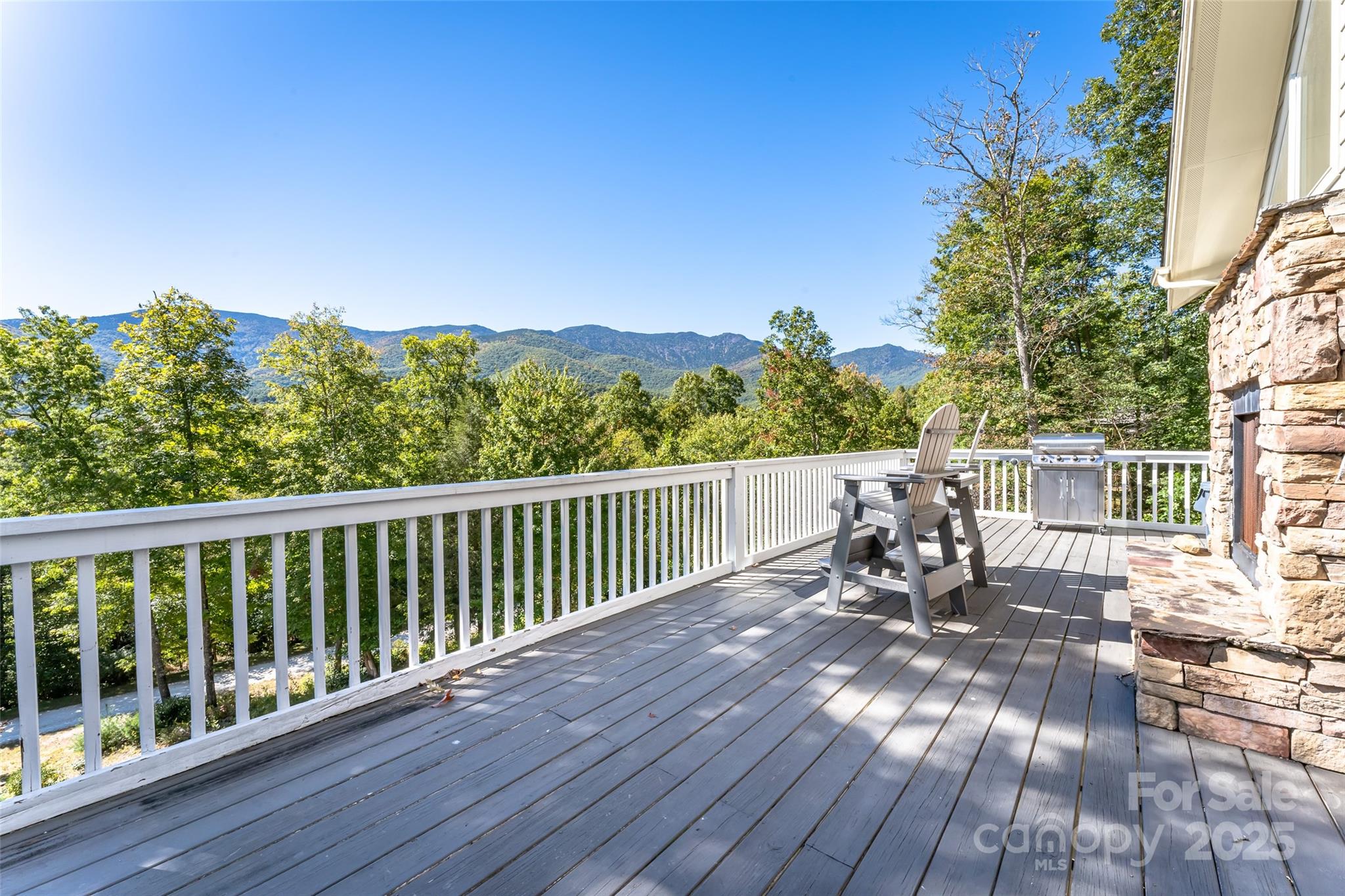 284 Mt. Mitchell Drive 2/1