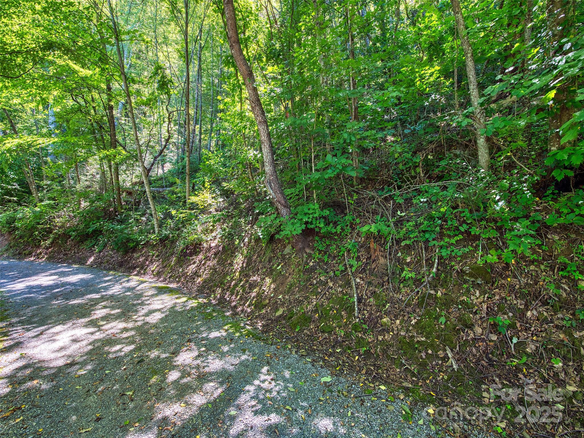 00 Yellow Locust Drive