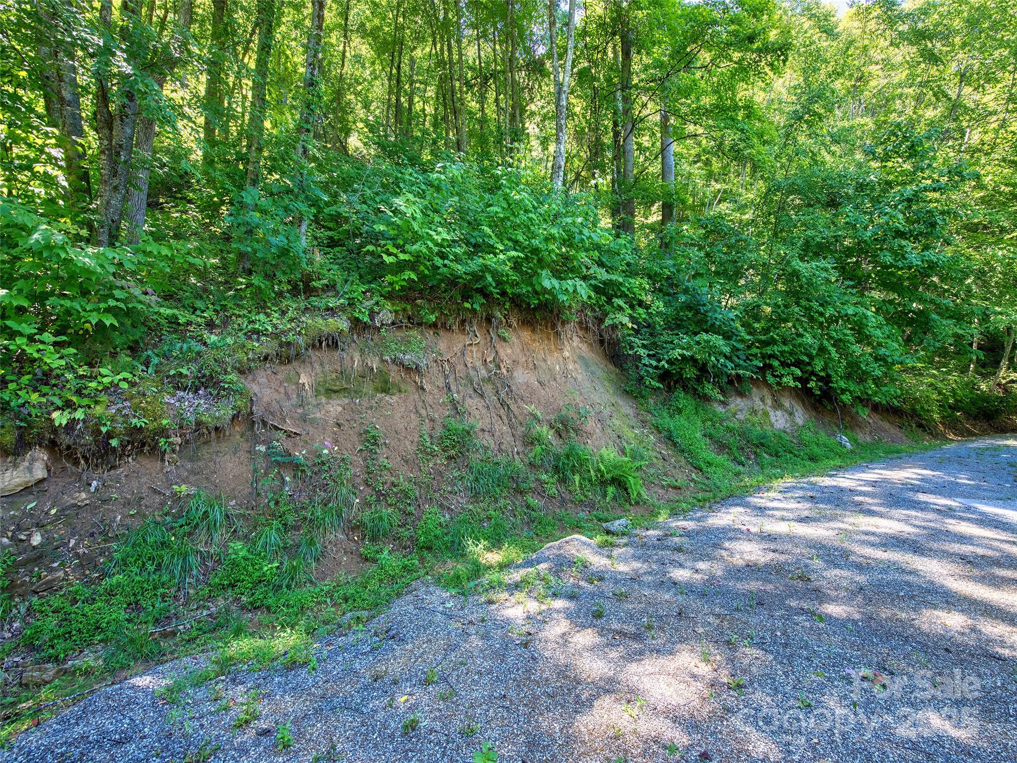 00 Yellow Locust Drive