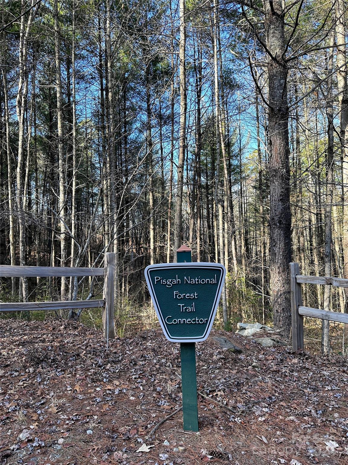 The Bluffs of Wilson Creek - Land