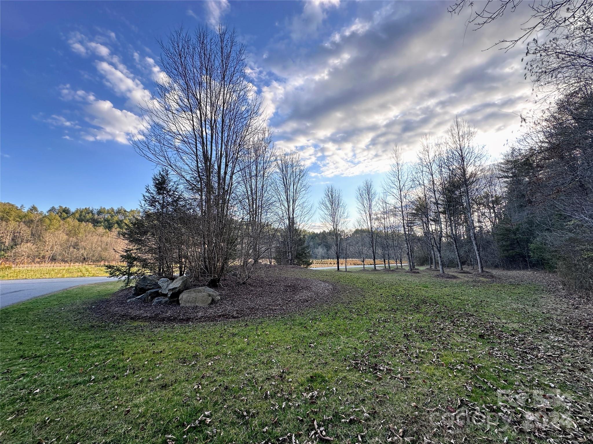 The Bluffs of Wilson Creek - Land