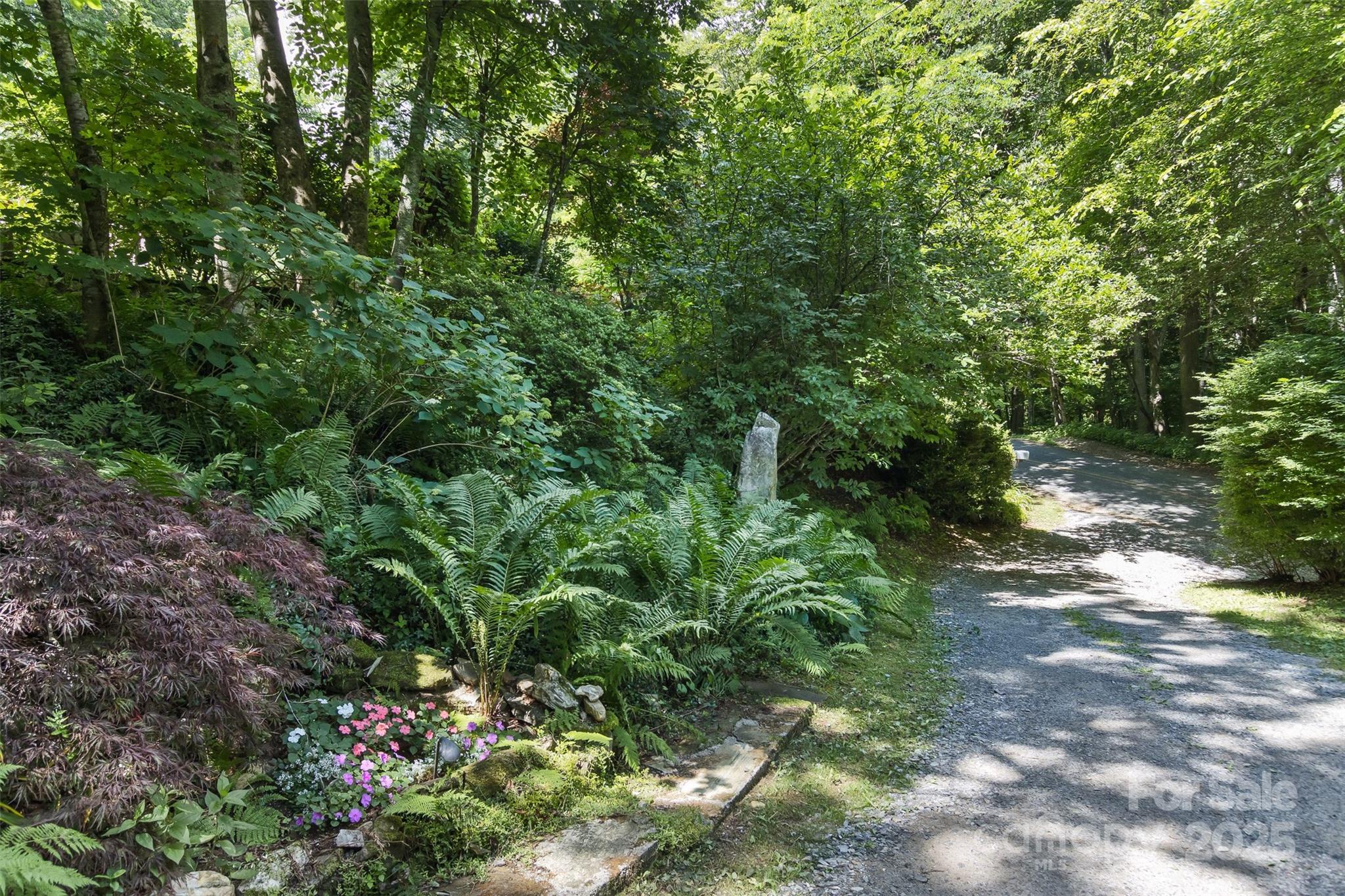 557 Tumbling Fork Road