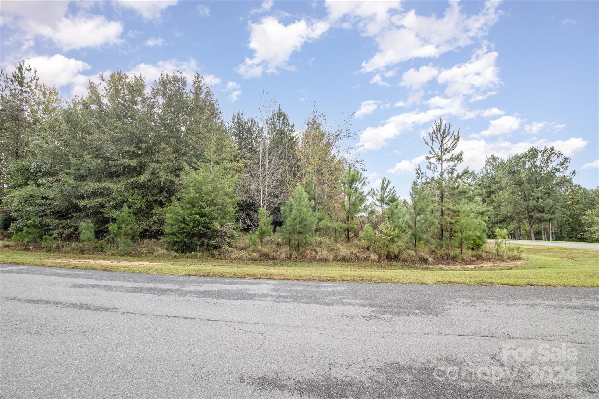 Catawba Shores Estates - Land