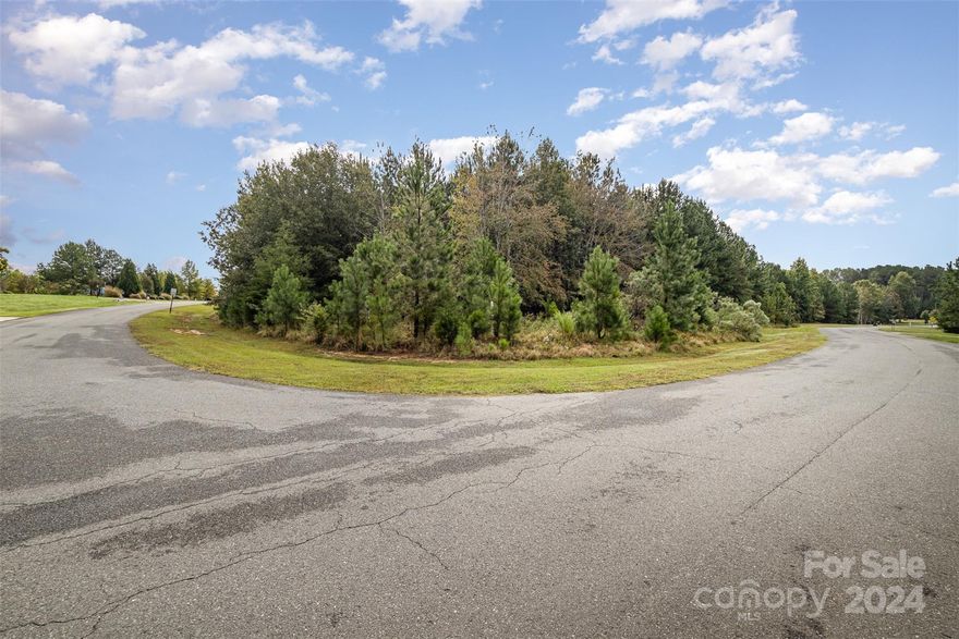 Beautiful corner lot in the sought after community of Catawba Shores Estates. The community is located on the Catawba River with miles of walking trails, kayak access and a swimming pool! Property is an untouched canvas ready for someone to build their dream home. Located just minutes from Rock Hill and Fort Mill shopping and dining. Septic permit from 2020 for a 4 bedroom home!