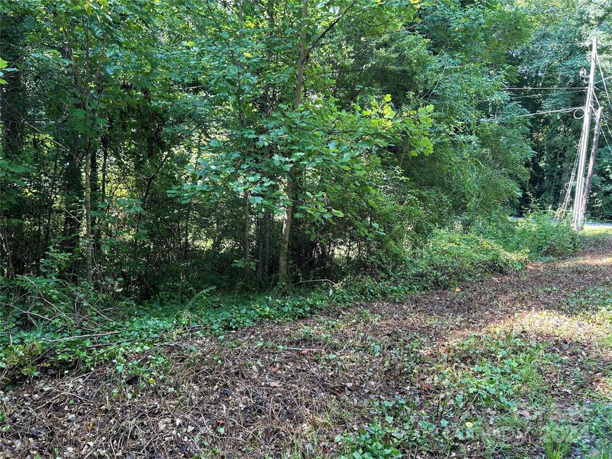 2 lots totaling 1.21 acres being sold together. Frontage on Pleasant Street, but best access will be off an existing private lane. Wooded (mostly hardwoods) w/nice stream. City water & sewer and underground utilities. Located in Spindale City limits (manufactured homes not allowed). Call for additional details & information.