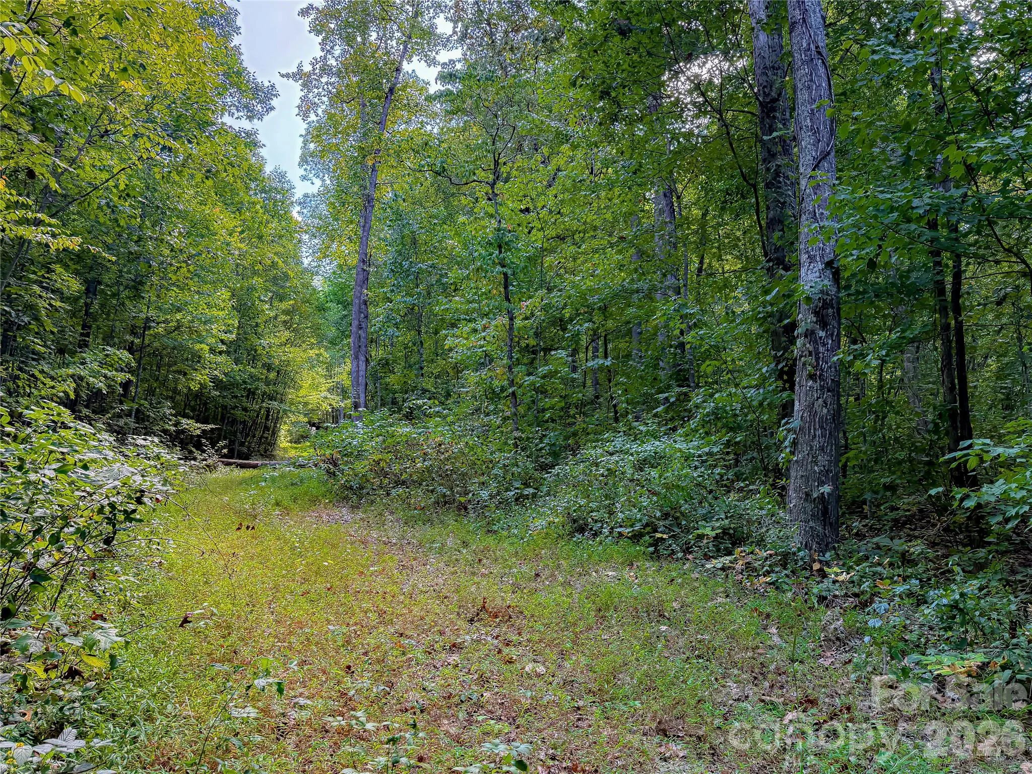 99999 High Top Mountain Road Unit Lot 2, Leicester, NC, 28748