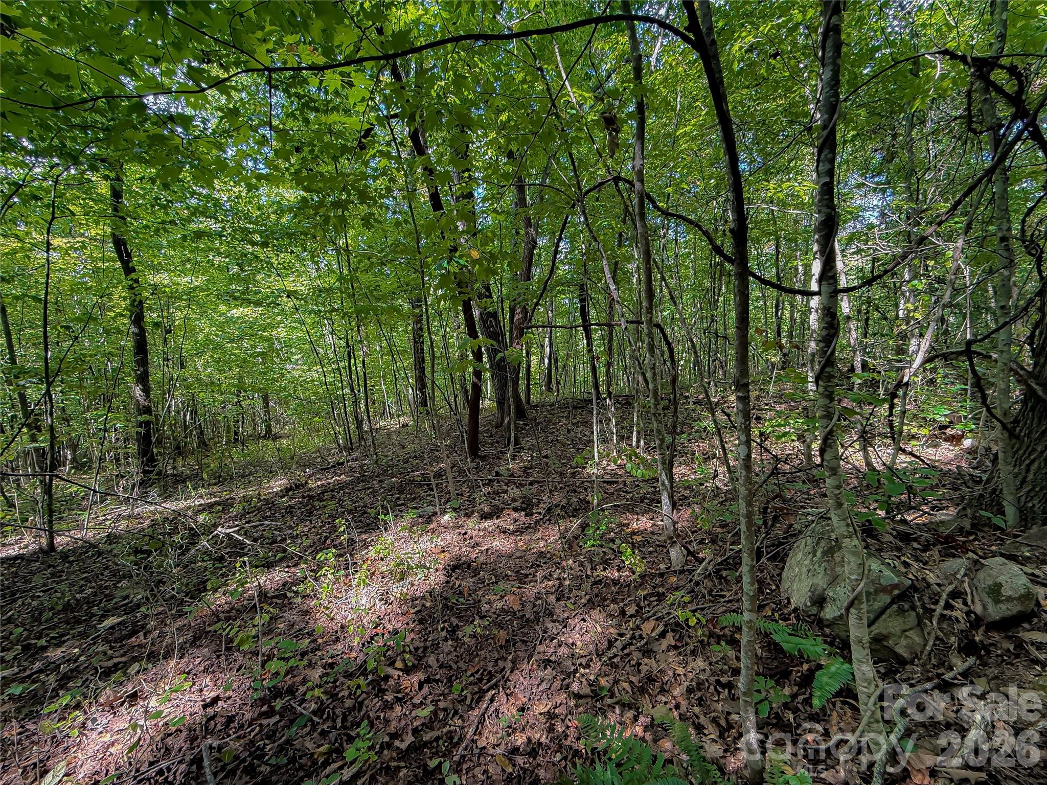 99999 High Top Mountain Road Lot 2