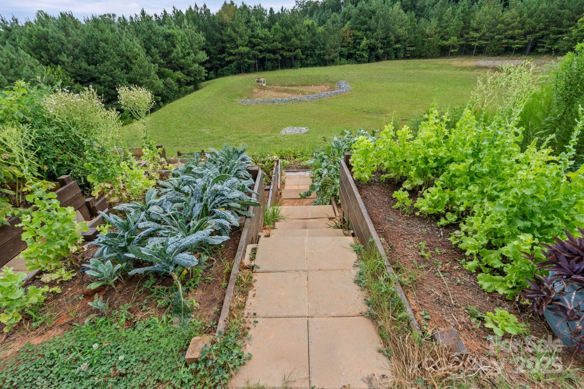 The Pines - Residential