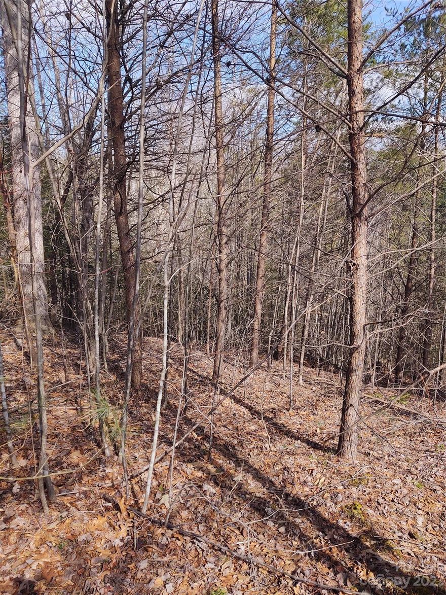 Check out this beautiful 1.23 acre lot situated near Lake James and the bustling town of Marion with its eateries and breweries. McDowell County boasts beautiful vistas, a variety of walking and biking trails, a wide array of wildlife, waterfalls, and other natural attractions. You might run into Bigfoot, as Marion is home of the WNC Bigfoot Festival. Come build your home "Where Main Street Meets the Mountains!" There is an expired perc test on file.