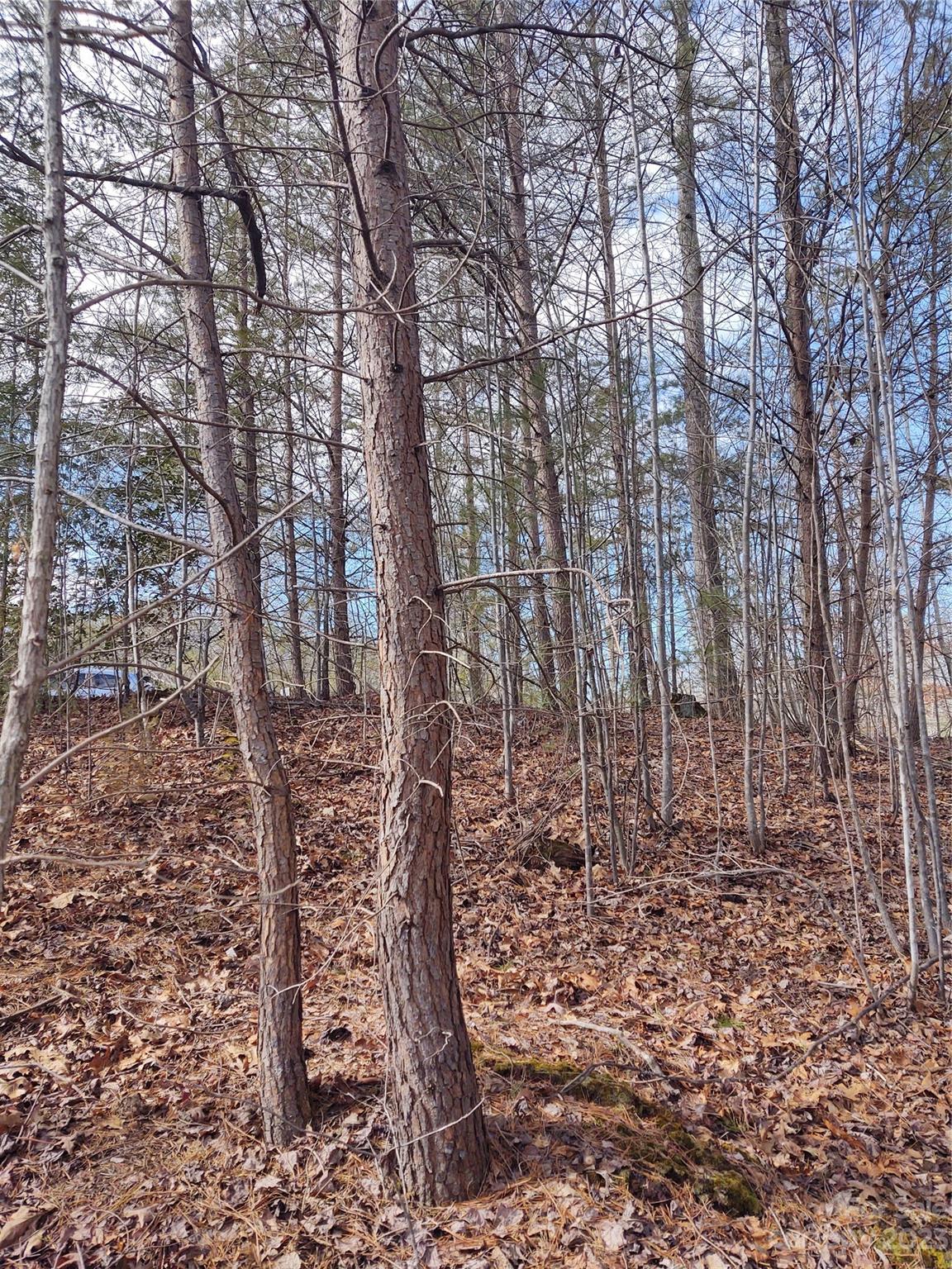 2 Riverview Forest Drive 2