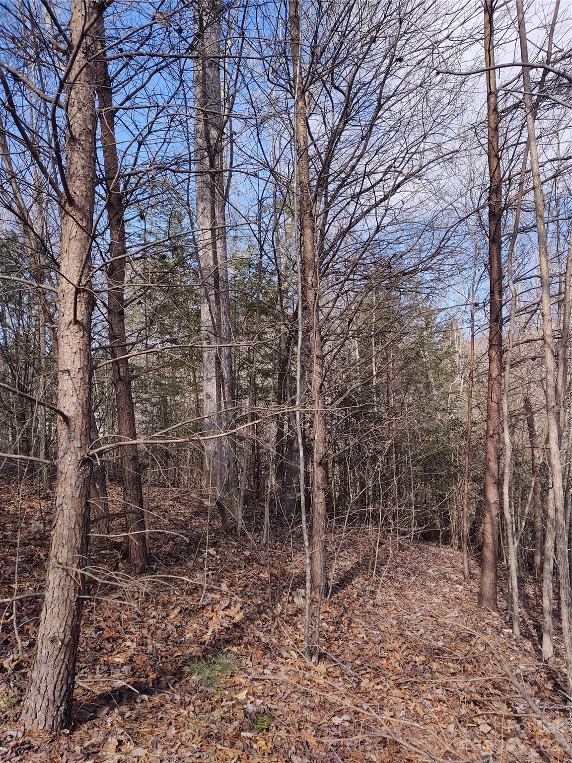 2 Riverview Forest Drive 2