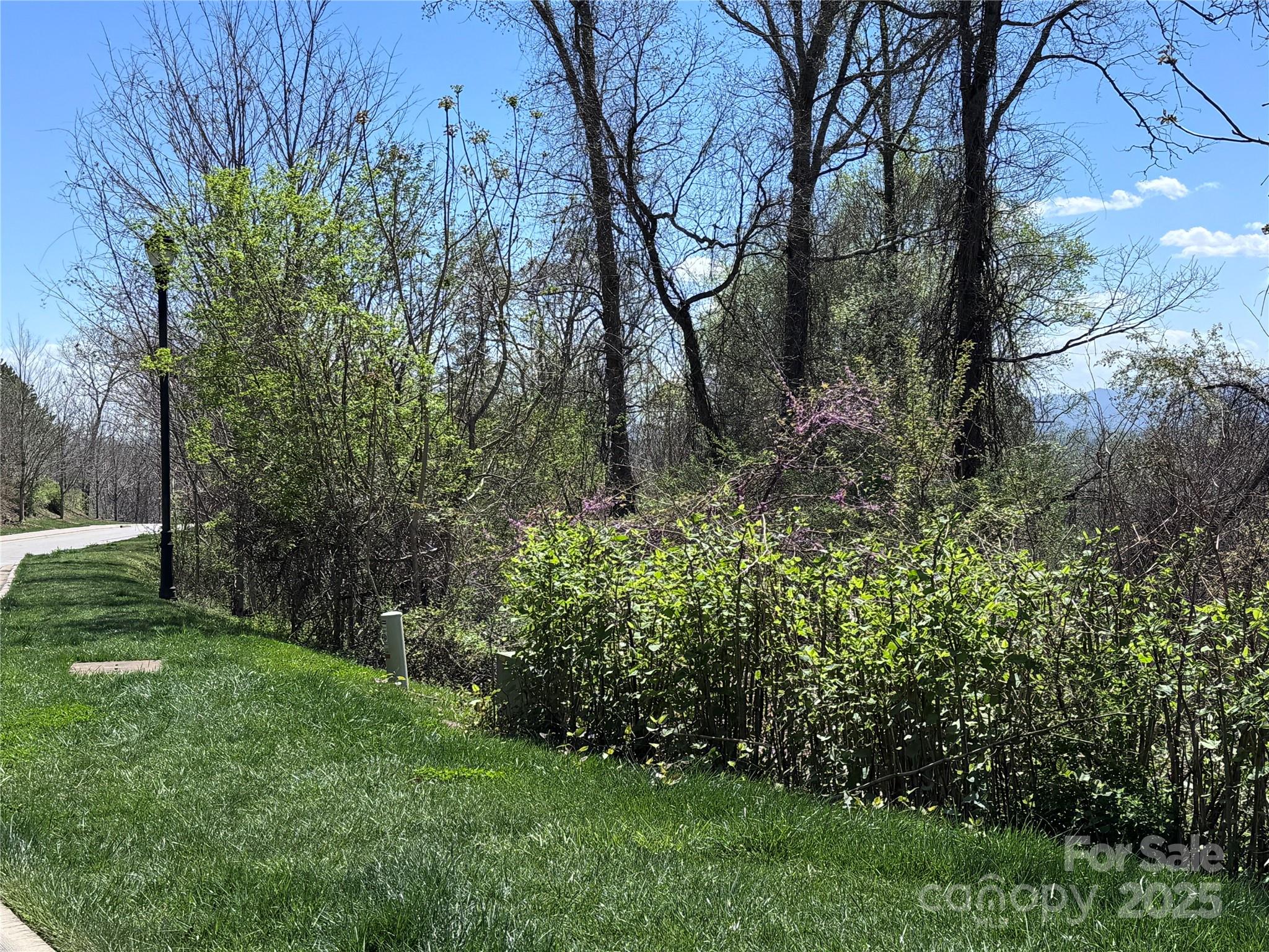 Beaucatcher Heights - Residential