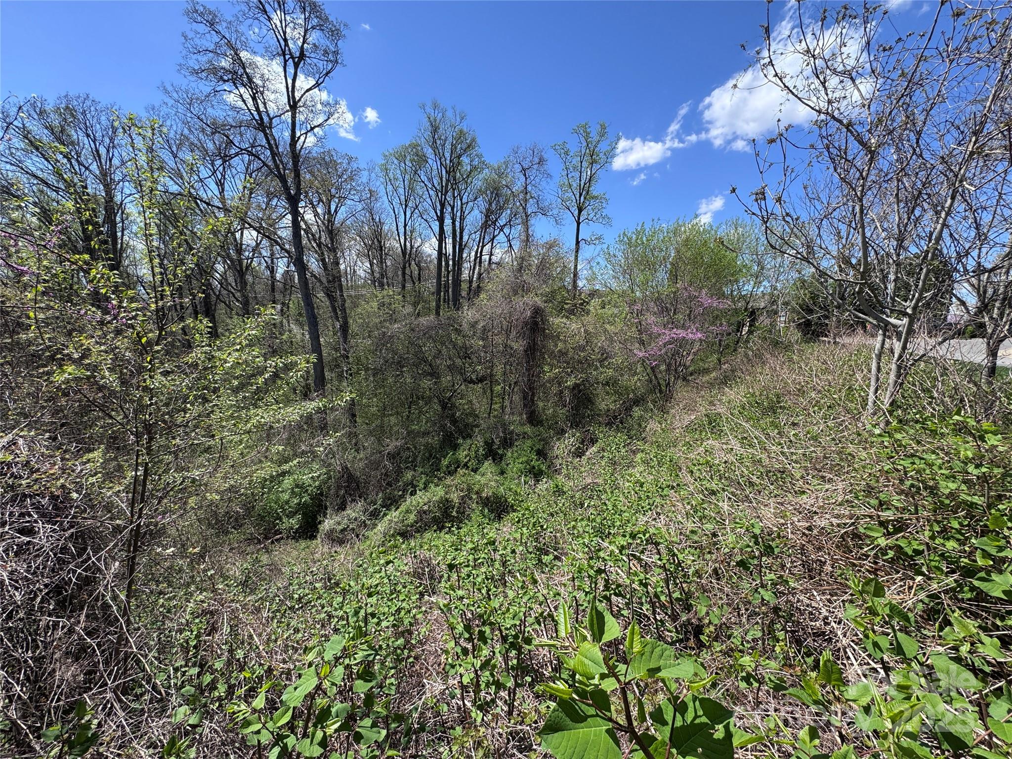 Beaucatcher Heights - Residential